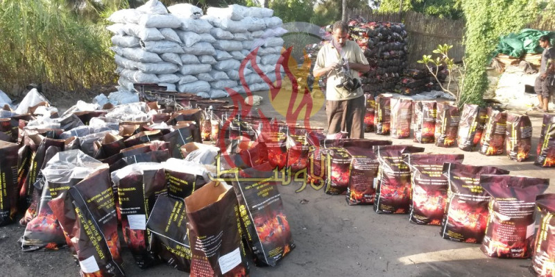 فحم للتصدير