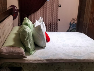 shk-llbyaa-fy-zhraaa-mdynh-nsr-amam-gardynya