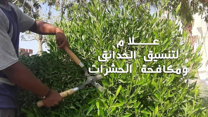 aalam-ltnsyk-alhdayk-omkafh-alhshrat-big-2