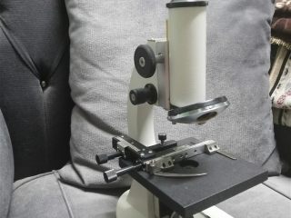 mykroskob-modyl-13abhalh-mmtazh-llbyaa