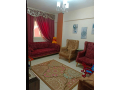 shk-llbyaa-fy-alaskndry-albytash-bsharaa-fndk-smrmon-small-1
