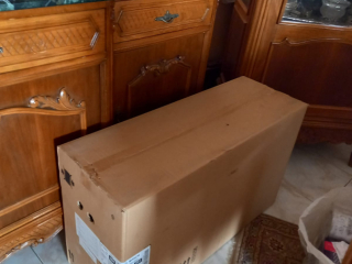 shfat-bosh-llhayt-gdyd-llbyaa