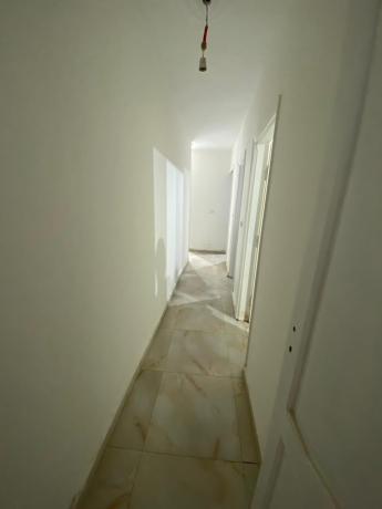 shk-llbyaa-fy-zhraaa-bmdynh-nsr-big-1