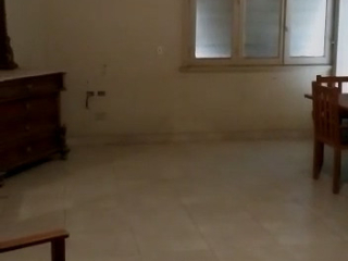 shk-llbyaa-fy-alzmalk