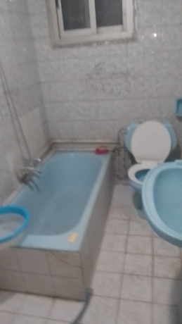 shkh-llbyaa-balmhndsyn-alaagozh-big-0