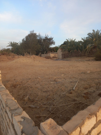 ard-fy-aloahat-albhryh-fy-alaaagoz-msahtha-676mtr-ttl-aaly-sharaa-big-2