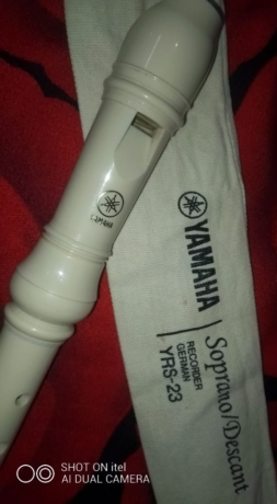 flot-rykord-yamaha-bhal-gyd-llbyaa-big-1