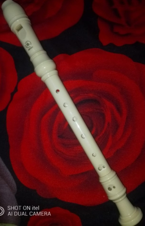 flot-rykord-yamaha-bhal-gyd-llbyaa-big-0