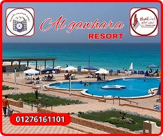 shalyh-llbyaa-f-kry-algohr-bsahl-alshmal-big-2