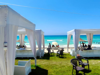 shkk-llbyaa-fy-alsahl-alshmal-aol-o-tan-sf-mn-albhr