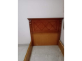 sryr-khshb-zan-bhalh-gydh-llbyaa-small-0