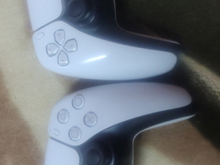 blaystyshn-5-bhalh-gydh-llbyaa