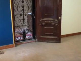 shk-llbyaa-fy-alhrm-bsharaa-altrbyh-otaalym