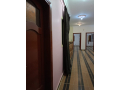 shkh-dorardy-mrtfaa-llaygar-fy-alh-alkhams-small-0