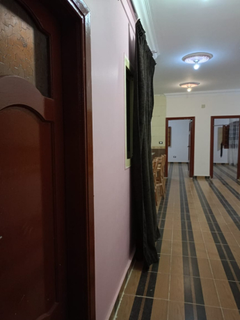 shkh-dorardy-mrtfaa-llaygar-fy-alh-alkhams-big-0