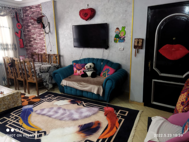 shk-llbyaa-fy-mdyn-alslam-alsharaa-algdyd-big-1