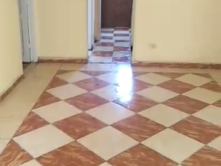 shk-llbyaa-fy-myamy-alaskndry