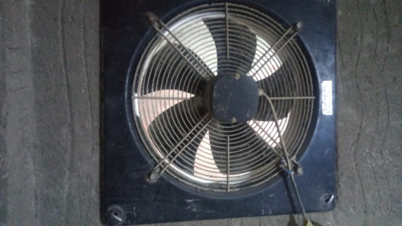 shfat-almany-bhalh-gydh-llbyaa-big-0