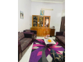 shk-llbyaa-fy-shbra-msrbsharaa-khlosy-small-2