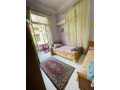 shk-llbyaa-fy-shbra-msrbsharaa-khlosy-small-0