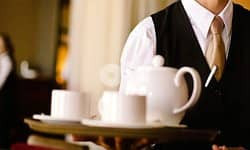 mtlob-aaaml-bofyh-llaaml-fy-shyraton-lkahr-big-0