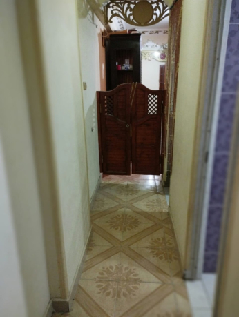 shkh-llbyaa-fy-ras-alsodaaa-alaskndryh-big-0