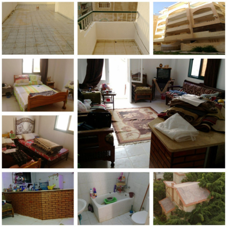 shk-llbyaa-fy-shaty-alnkhyl-balaskndry-big-0