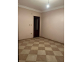 shk-llbyaa-fy-fysl-bmht-hsn-mhmd-small-2