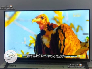 shash-frymlys-32-bos-rsyfr-dakhly-gdyd