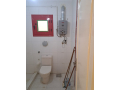 shk-balaskndry-bmdyn-aldbat-bgoar-alakadymy-babokyr-small-2