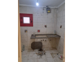 shk-balaskndry-bmdyn-aldbat-bgoar-alakadymy-babokyr-small-1