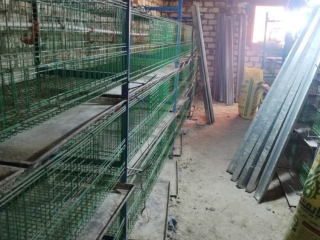 btaryat-ltsmyn-aldoagn-llbyaa