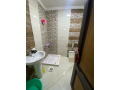 shk-llbyaa-fy-bdar-msr-alandls-mrhl-2-small-1