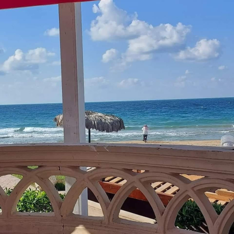 shk-llbyaa-fy-alaagm-alaskndryh-big-0