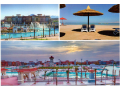 shalyh-llaygar-fy-borto-shrm-alshykh-small-0