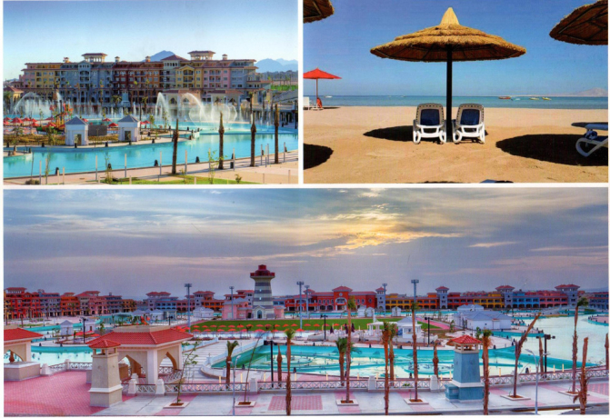 shalyh-llaygar-fy-borto-shrm-alshykh-big-0