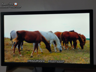 shashat-yabany-aorchynal-22-bos-asly