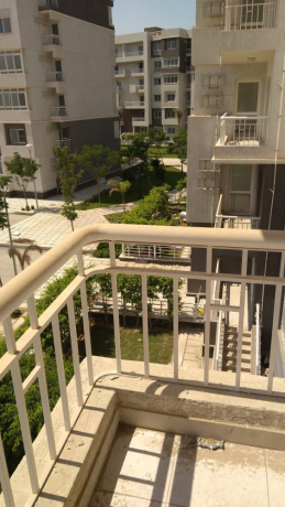 shkh-llaygar-fy-mdynty-big-1