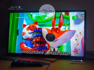 shashat-llbyaa-rsyfr-dakhly-gdyd