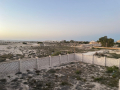 fyla-llbyaa-fy-mrsy-mtroh-aaly-albhr-fy-mntkh-allagona-small-1