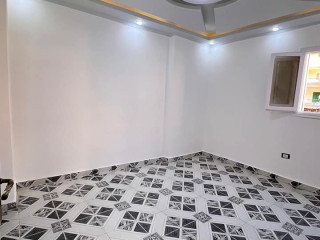 shkh-llbyaa-fy-alaskndry-alaagmy-shaty-alnkhyl-big-1