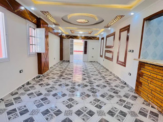 shkh-llbyaa-fy-alaskndry-alaagmy-shaty-alnkhyl-big-0