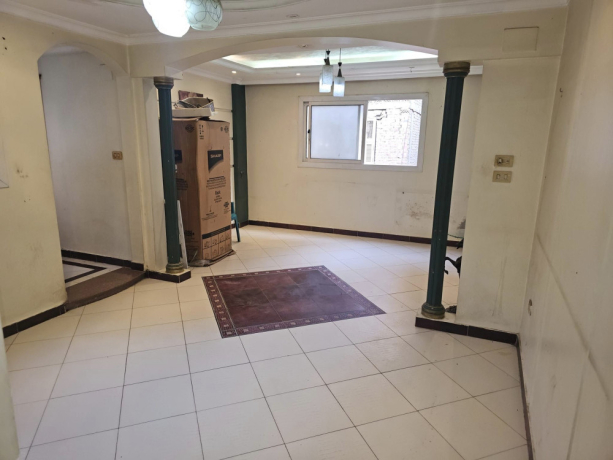 shk-tmlyk-llbyaa-fy-shbra-msr-big-0