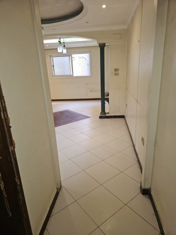 shk-tmlyk-llbyaa-fy-shbra-msr-big-1