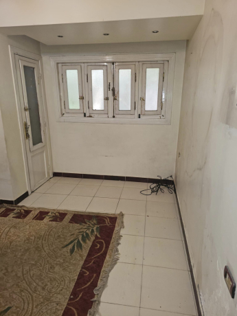 shk-tmlyk-llbyaa-fy-shbra-msr-big-2