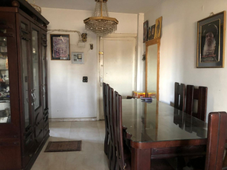 shk-llbyaa-fy-shbra-balkrb-mn-khlosy