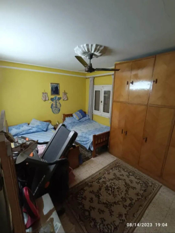 shk-llbyaa-kryb-mn-almht-omydan-alsaaa-big-2