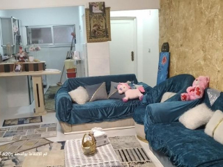 shalyh-llbyaa-fy-albytash-alaskndry