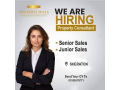 mtlob-bshrk-aakarat-sales-o-sales-team-leader-small-0