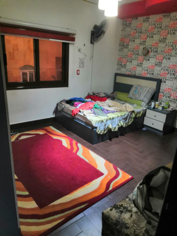 shkh-llbyaa-fy-alnrgs-aamayr-dor-tany-big-1